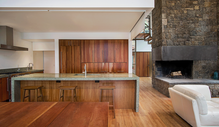 Modern Adirondack Retreat (14)